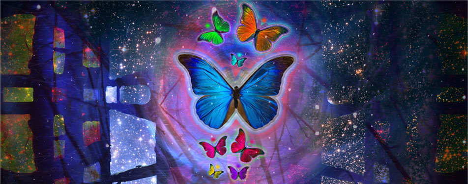 专业版激活的DDOS测试